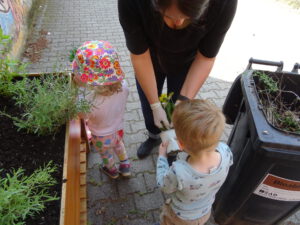 Auch Pflanzen will gelernt sein.